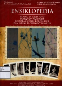 Image of Ensiklopedia : Kapang di arsip foto Memory of the world restorasi candi Borobudur dan istana El-Shenawy di Mesir